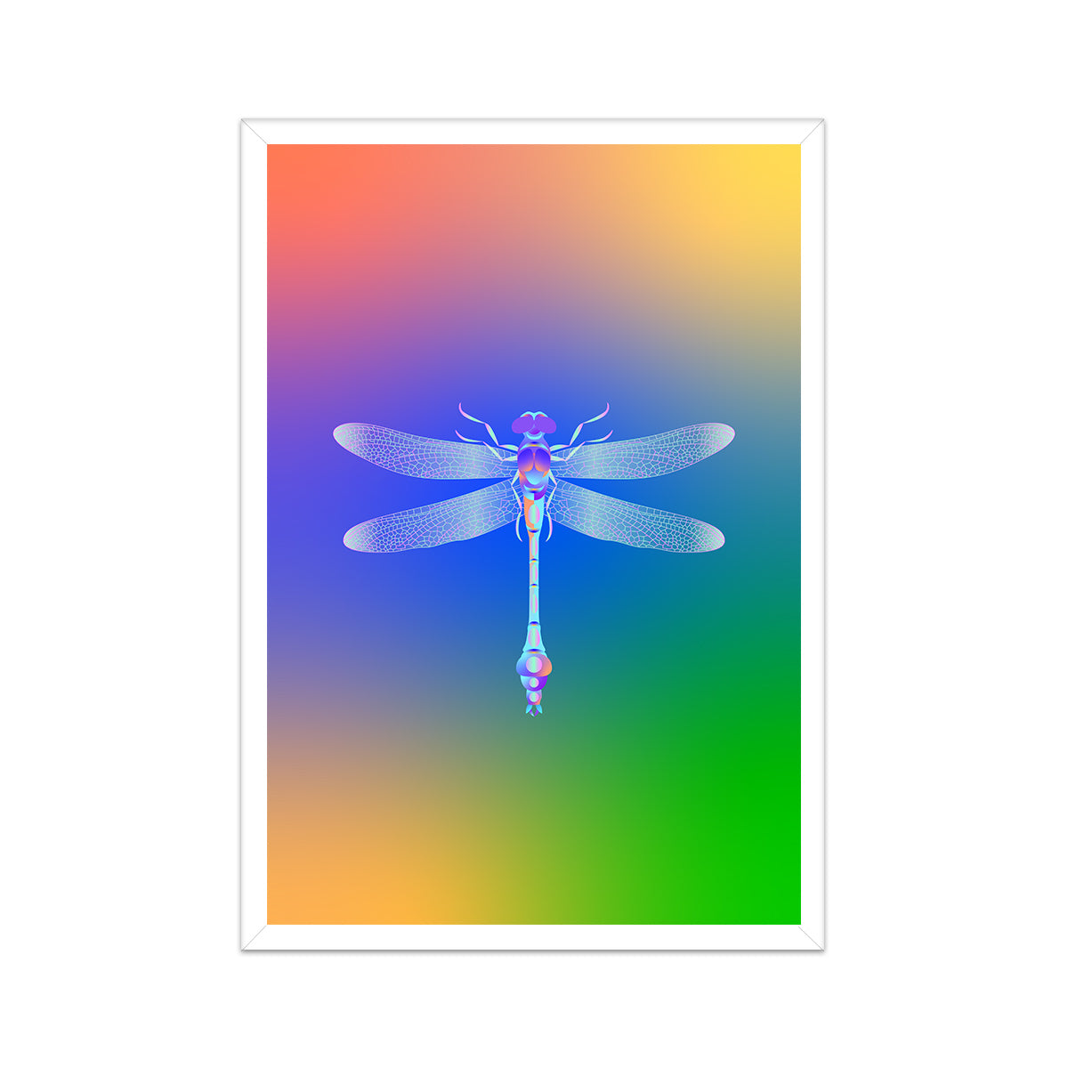 Dragonfly Print