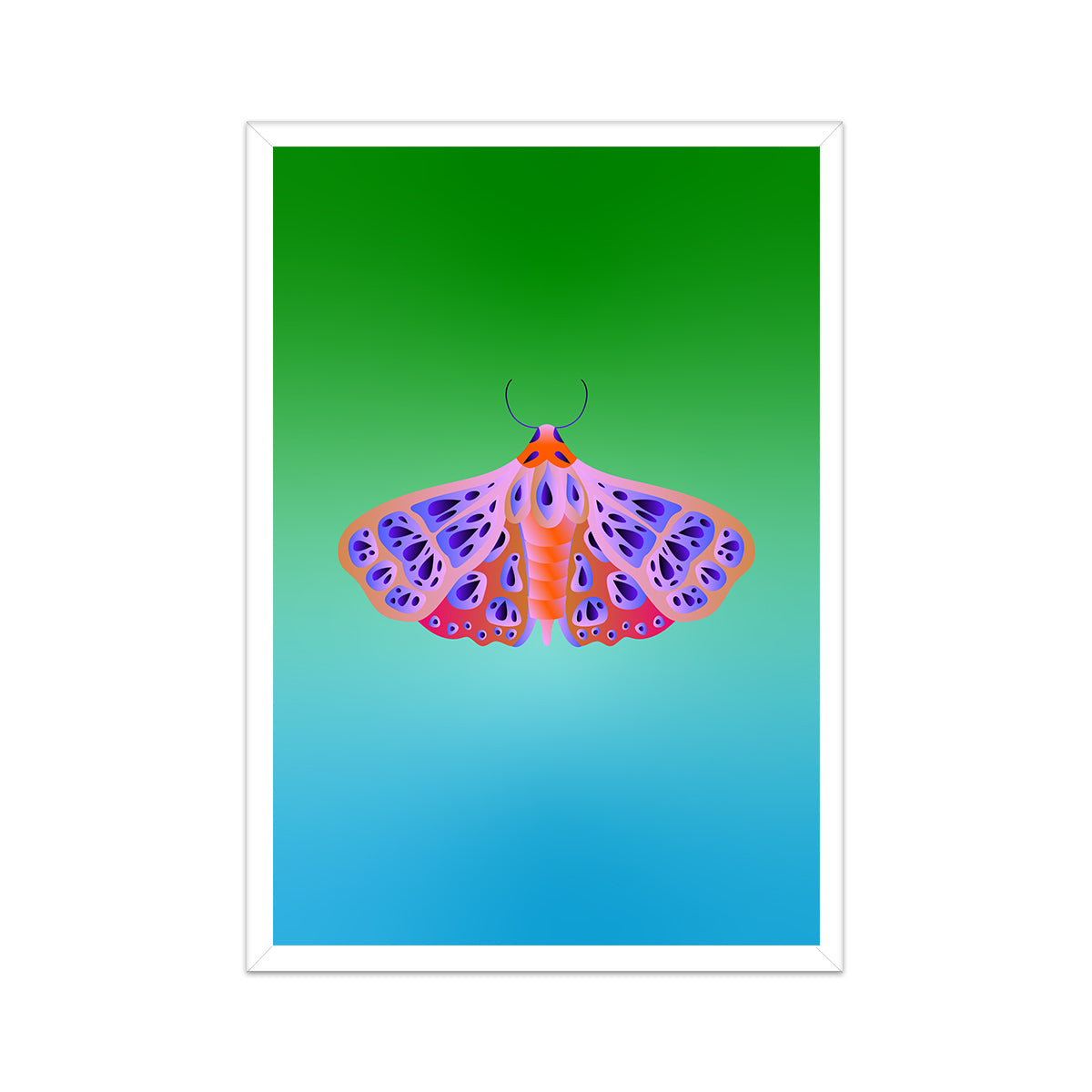 Moth Print