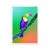 Toucan Print