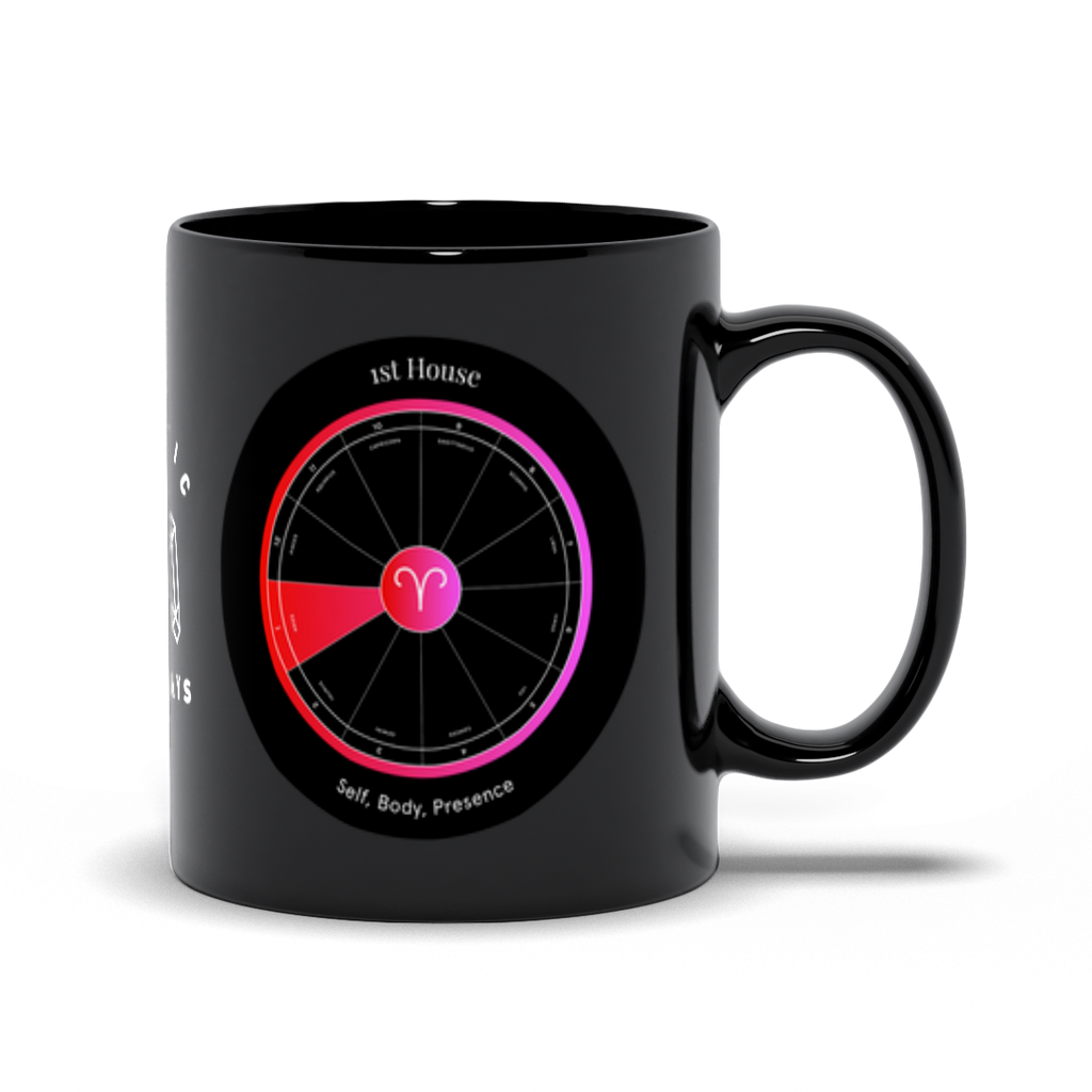 1st House Black Mug